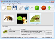 flash actionscript image slider Create A Lightbox Intro In Flash
